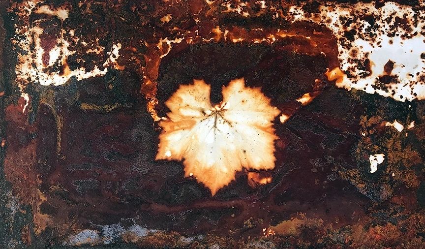 Grape Leaf, rust artwork by Brian Kirk